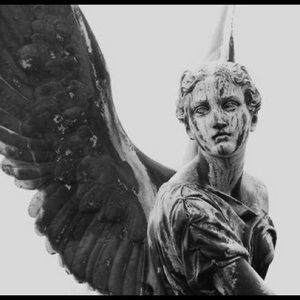 Meet your Posher, Malik